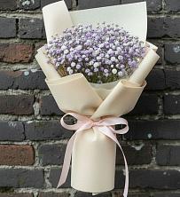 Букет цветов из:  Гипсофила в Новый Быт