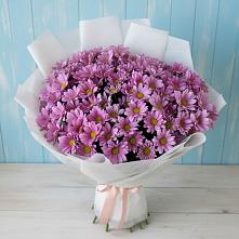 Букет цветов из:  Хризантемы в Новый Быт