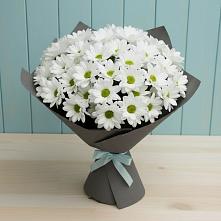 Букет цветов из:  Хризантемы в Новый Быт