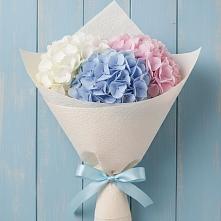Букет цветов из:  Гортензия в Новый Быт