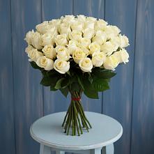 Букет 51 Белая роза Эдлесс Лав #REPLACE_PRED# Новый Быт