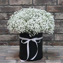 Цветочная композиция из Гипсофила в шляпной коробке в Новый Быт