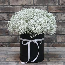 Цветочная композиция из Гипсофила в шляпной коробке в Новый Быт