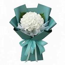 Букет цветов из:  Гортензия в Новый Быт
